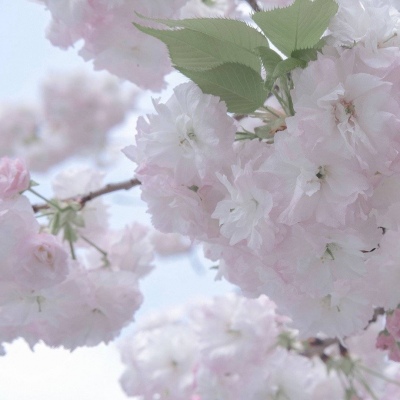 沧县福瑞交流群